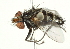  ( - BIOUG01808-C01)  @13 [ ] CreativeCommons - Attribution (2012) CBG Photography Group Centre for Biodiversity Genomics