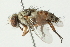  ( - BIOUG01808-F11)  @14 [ ] CreativeCommons - Attribution (2012) CBG Photography Group Centre for Biodiversity Genomics
