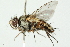  ( - BIOUG01808-H09)  @13 [ ] CreativeCommons - Attribution (2012) CBG Photography Group Centre for Biodiversity Genomics