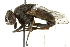  ( - BIOUG01817-E01)  @14 [ ] CreativeCommons - Attribution (2012) CBG Photography Group Centre for Biodiversity Genomics
