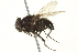  ( - BIOUG01817-F11)  @13 [ ] CreativeCommons - Attribution (2012) CBG Photography Group Centre for Biodiversity Genomics
