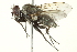  ( - BIOUG01817-H01)  @12 [ ] CreativeCommons - Attribution (2012) CBG Photography Group Centre for Biodiversity Genomics
