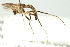  ( - BIOUG01818-E12)  @13 [ ] CreativeCommons - Attribution (2012) CBG Photography Group Centre for Biodiversity Genomics