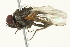  ( - CCDB-12827-F11)  @13 [ ] CreativeCommons - Attribution (2012) CBG Photography Group Centre for Biodiversity Genomics