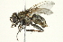  ( - CCDB-12827-G01)  @13 [ ] CreativeCommons - Attribution (2012) CBG Photography Group Centre for Biodiversity Genomics