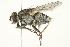  ( - CCDB-12827-G02)  @14 [ ] CreativeCommons - Attribution (2012) CBG Photography Group Centre for Biodiversity Genomics