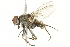 ( - CCDB-12827-G04)  @14 [ ] CreativeCommons - Attribution (2012) CBG Photography Group Centre for Biodiversity Genomics