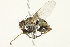  ( - CCDB-12827-H05)  @14 [ ] CreativeCommons - Attribution (2012) CBG Photography Group Centre for Biodiversity Genomics