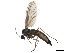  ( - BIOUG01983-G05)  @12 [ ] CreativeCommons - Attribution (2012) CBG Photography Group Centre for Biodiversity Genomics