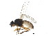  ( - BIOUG02190-H05)  @15 [ ] CreativeCommons - Attribution (2012) CBG Photography Group Centre for Biodiversity Genomics