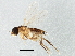  ( - BIOUG02572-B05)  @13 [ ] CreativeCommons - Attribution (2013) CBG Photography Group Centre for Biodiversity Genomics