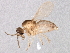  ( - BIOUG02572-G05)  @13 [ ] CreativeCommons - Attribution (2013) CBG Photography Group Centre for Biodiversity Genomics