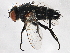  ( - BIOUG01244-F01)  @14 [ ] CreativeCommons - Attribution (2012) CBG Photography Group Centre for Biodiversity Genomics