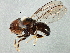  ( - BIOUG02576-B02)  @11 [ ] CreativeCommons - Attribution (2013) CBG Photography Group Centre for Biodiversity Genomics