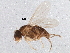  ( - BIOUG02576-E05)  @12 [ ] CreativeCommons - Attribution (2013) CBG Photography Group Centre for Biodiversity Genomics