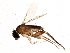  ( - BIOUG02731-B09)  @13 [ ] CreativeCommons - Attribution (2013) CBG Photography Group Centre for Biodiversity Genomics