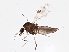  ( - BIOUG02762-H09)  @12 [ ] CreativeCommons - Attribution (2013) CBG Photography Group Centre for Biodiversity Genomics