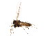  ( - BIOUG01244-H07)  @13 [ ] CreativeCommons - Attribution (2012) CBG Photography Group Centre for Biodiversity Genomics