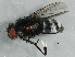  ( - BIOUG02566-E01)  @14 [ ] CreativeCommons - Attribution (2013) CBG Photography Group Centre for Biodiversity Genomics
