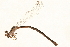  ( - 09BBEOD-0156)  @14 [ ] CreativeCommons - Attribution (2010) Unspecified Centre for Biodiversity Genomics