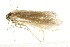  ( - BIOUG00838-B12)  @12 [ ] CreativeCommons - Attribution (2011) CBG Photography Group Centre for Biodiversity Genomics