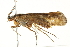  ( - BIOUG00838-G05)  @15 [ ] CreativeCommons - Attribution (2011) CBG Photography Group Centre for Biodiversity Genomics