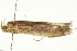  ( - BIOUG00842-A05)  @13 [ ] CreativeCommons - Attribution (2011) CBG Photography Group Centre for Biodiversity Genomics
