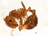  ( - 10BBUFO-0158)  @13 [ ] CreativeCommons - Attribution (2010) CBG Photography Group Centre for Biodiversity Genomics