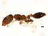  ( - 10BBUFO-0174)  @13 [ ] CreativeCommons - Attribution (2010) CBG Photography Group Centre for Biodiversity Genomics