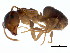  ( - 10BBCFO-0027)  @13 [ ] CreativeCommons - Attribution (2010) CBG Photography Group Centre for Biodiversity Genomics