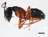  ( - 10BBCFO-0136)  @13 [ ] CreativeCommons - Attribution (2010) CBG Photography Group Centre for Biodiversity Genomics