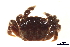  ( - BIOUG14663-B05)  @11 [ ] CreativeCommons - Attribution (2014) CBG Photography Group Centre for Biodiversity Genomics