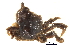  ( - BIOUG14663-B07)  @11 [ ] CreativeCommons - Attribution (2014) CBG Photography Group Centre for Biodiversity Genomics