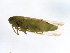  ( - 10BBCHEM-1109)  @13 [ ] CreativeCommons - Attribution (2011) CBG Photography Group Centre for Biodiversity Genomics