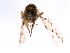 ( - 10BBCHEM-1146)  @13 [ ] CreativeCommons - Attribution (2011) CBG Photography Group Centre for Biodiversity Genomics