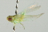  ( - PCPP10-0691)  @13 [ ] CreativeCommons - Attribution (2011) CBG Photography Group Centre for Biodiversity Genomics