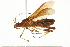  ( - 10BBCHEM-1248)  @14 [ ] CreativeCommons - Attribution (2010) CBG Photography Group Centre for Biodiversity Genomics
