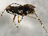  ( - 10BBCHEM-0108)  @13 [ ] CreativeCommons - Attribution (2010) CBG Photography Group Centre for Biodiversity Genomics