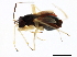  ( - 10BBCHEM-0182)  @12 [ ] CreativeCommons - Attribution (2010) CBG Photography Group Centre for Biodiversity Genomics