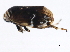  ( - 10BBCHEM-0304)  @12 [ ] CreativeCommons - Attribution (2010) CBG Photography Group Centre for Biodiversity Genomics