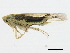  ( - 10BBCHEM-0365)  @14 [ ] CreativeCommons - Attribution (2010) CBG Photography Group Centre for Biodiversity Genomics