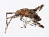  ( - 10BBCHEM-0624)  @12 [ ] CreativeCommons - Attribution (2010) CBG Photography Group Centre for Biodiversity Genomics