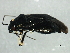  ( - 10BBCHEM-0897)  @14 [ ] CreativeCommons - Attribution (2010) CBG Photography Group Centre for Biodiversity Genomics