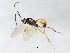  ( - 09BBEHY-0713)  @13 [ ] CreativeCommons - Attribution (2010) Unspecified Centre for Biodiversity Genomics