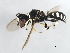  ( - 09BBEHY-0731)  @13 [ ] CreativeCommons - Attribution (2010) Unspecified Centre for Biodiversity Genomics