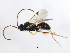  ( - 09BBEHY-0751)  @13 [ ] CreativeCommons - Attribution (2010) Unspecified Centre for Biodiversity Genomics