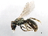  ( - 09BBEHY-0842)  @14 [ ] CreativeCommons - Attribution (2010) Unspecified Centre for Biodiversity Genomics