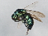  ( - 09BBEHY-0988)  @13 [ ] CreativeCommons - Attribution (2010) Unspecified Centre for Biodiversity Genomics