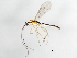  ( - 09BBEHY-0278)  @13 [ ] CreativeCommons - Attribution (2009) Unspecified Centre for Biodiversity Genomics