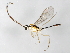  ( - 09BBEHY-0291)  @14 [ ] CreativeCommons - Attribution (2009) Unspecified Centre for Biodiversity Genomics